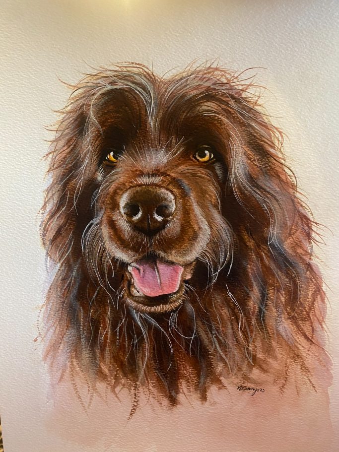 Close-up portrait of a smiling brown dog with long, wavy fur and expressive eyes.