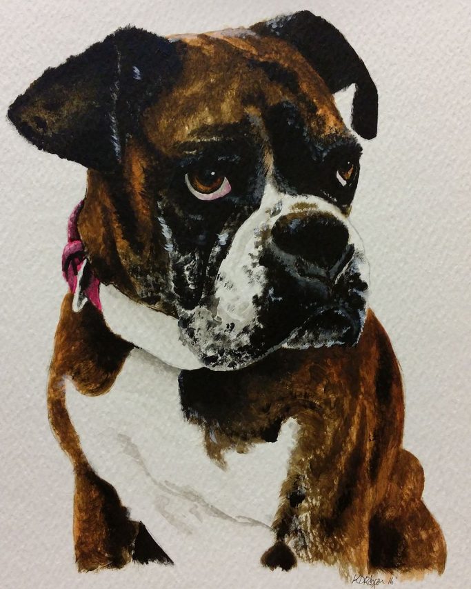 Brindle-boxer dog with a black and white face, looking attentively to the side.