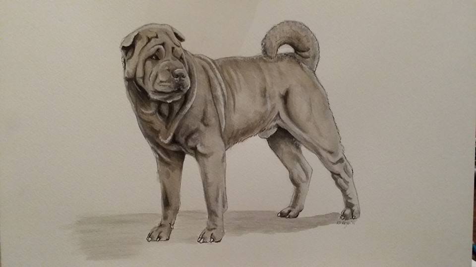 A shaded drawing of a standing Shar Pei dog with a wrinkled coat.