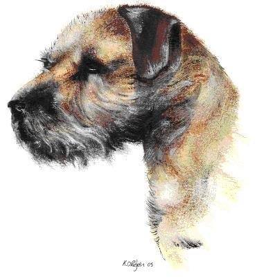 Illustration of a dog's head, prominently featuring a soft, textured fur pattern.