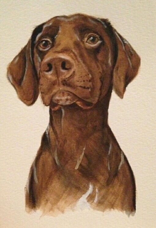 A realistic painting of a brown dog with expressive eyes, facing forward.
