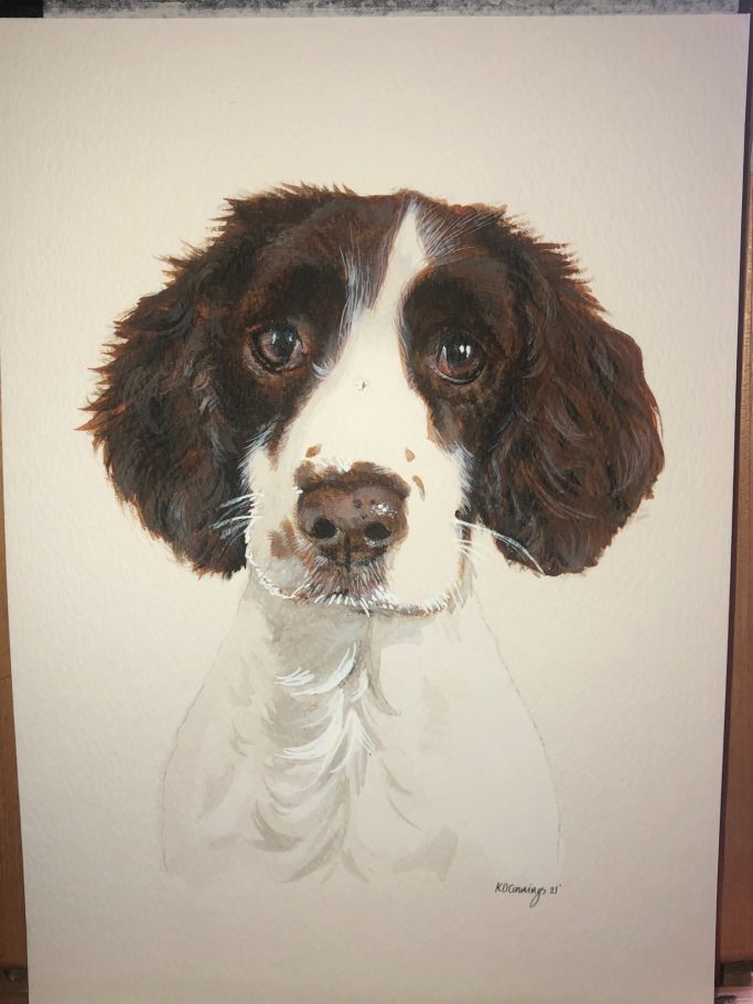 Portrait of a brown and white dog with expressive eyes and floppy ears.