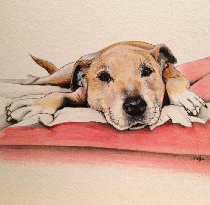 A sleeping dog resting on a cushion with its head on the surface.