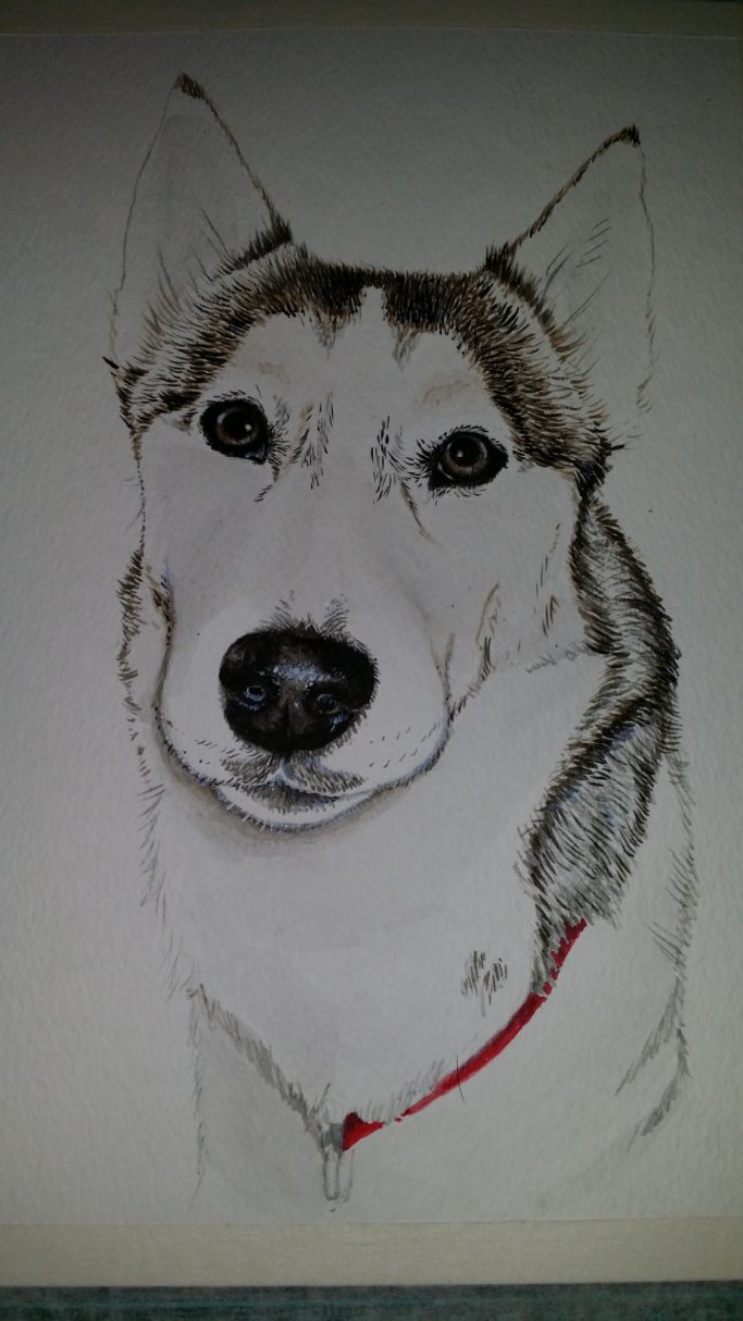 A realistic drawing of a dog with a grey and white coat and a red collar.
