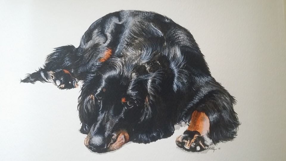 A black dog lying down with a relaxed expression and paws visible.