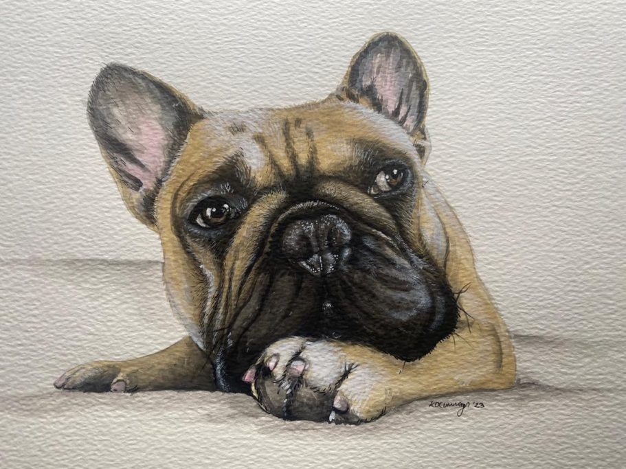 A close-up of a French Bulldog resting its head on its paws.