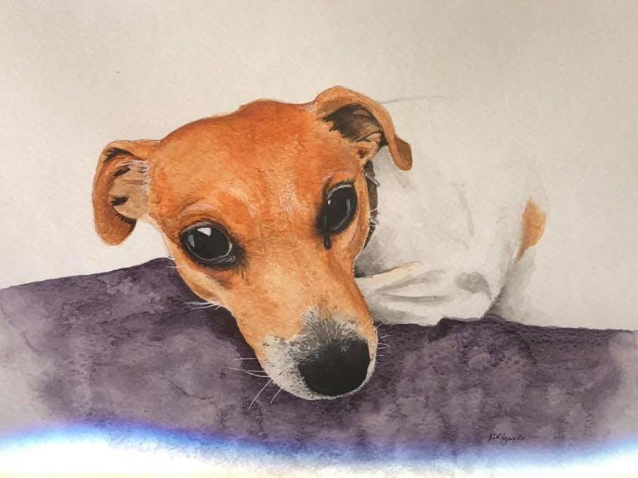 A small dog with short brown and white fur resting on a soft surface.