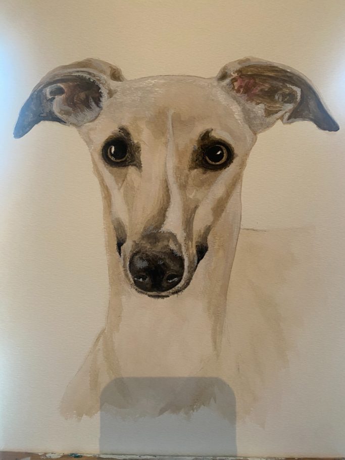 Watercolour painting of a greyhound's head against a plain background.