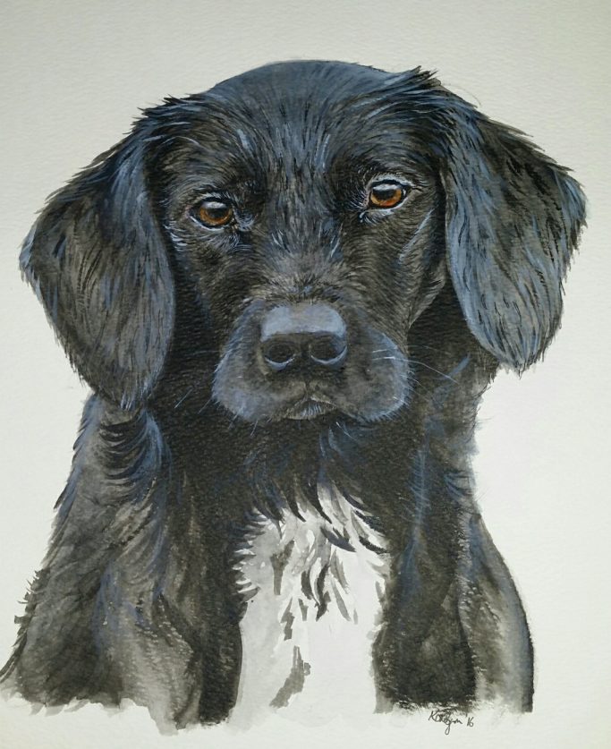 Black dog with expressive brown eyes and white chest fur, staring directly ahead.