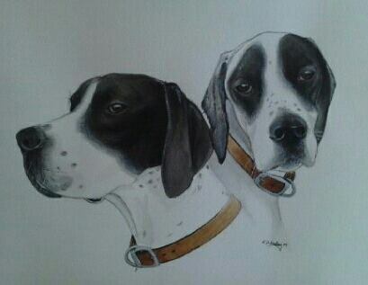 Two dogs with black and white coats, wearing brown collars, depicted side by side.