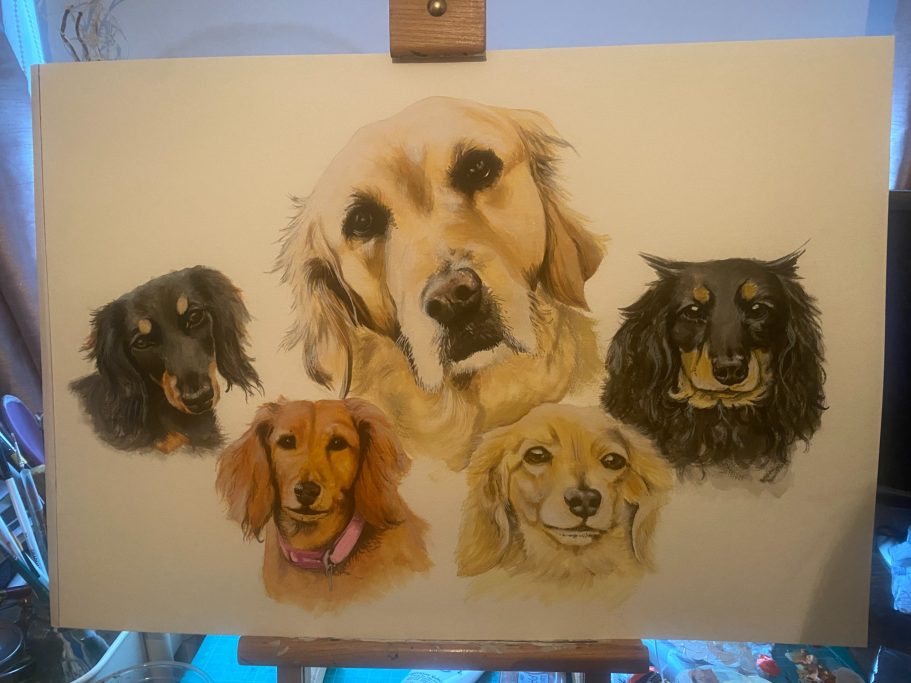 A group portrait of five dogs, including a golden retriever and three dachshunds.